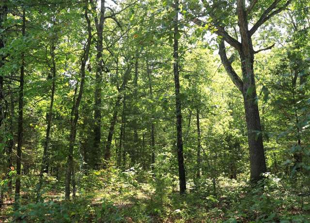Property at 602 Catbird Cir, Horseshoe Bend, AR 72512