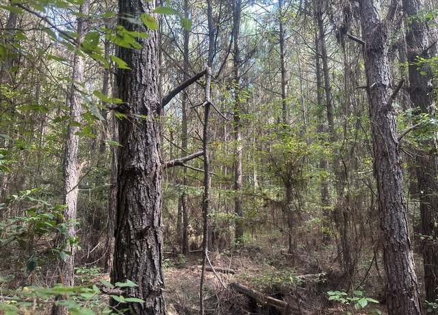 Property at 1 Bethel Rd, Mt. Holly, AR 71758
