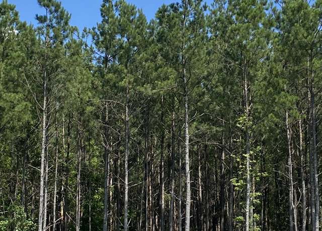 Property at 000 Grant 75, Sheridan, AR