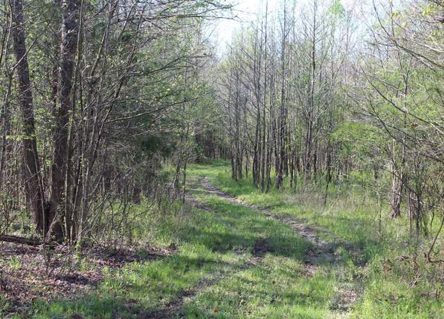 Property at Albert Pike Rd, Royal, AR 71968