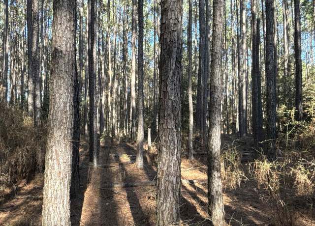 Property at 1 W Dallas County Line, Sparkman, AR 71763