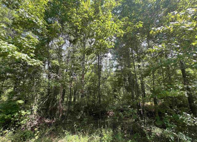Property at 000 Grant 57, Sheridan, AR 72150