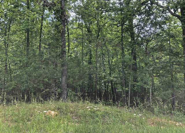 Property at Okmulgee Dr, Cherokee Village, AR 72529