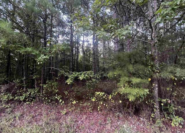 Property at 0000 Lanni Ln, White Hall, AR 71602