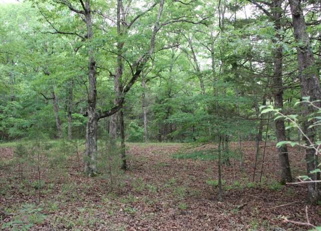 Property at 001-05594-000 Mc 8012, Yellville, AR 72687
