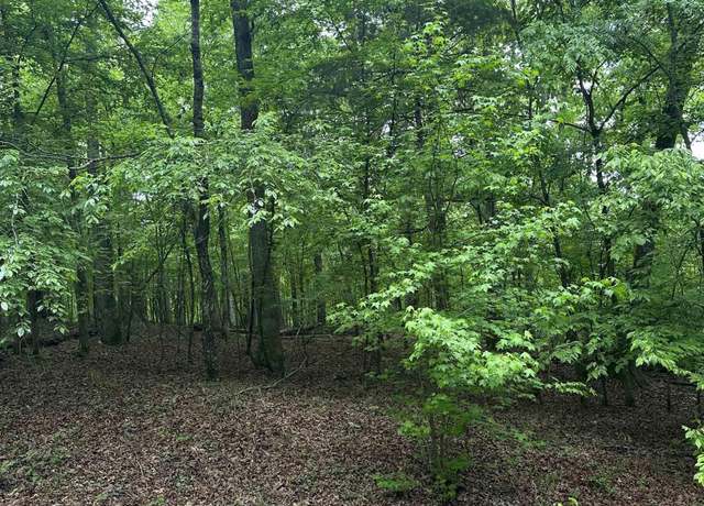 Property at 2 Vestonero Way Lot 2, Hot Springs Village, AR 71909