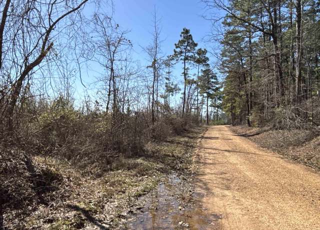 Property at 1 Palmetto Rd, Sparkman, AR 71763