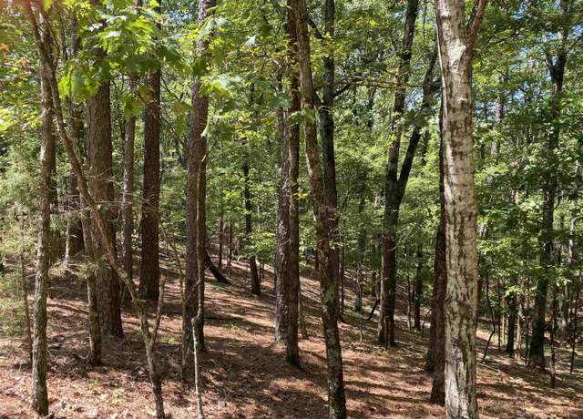 Property at 9 Hillside Trl, Mount Ida, AR 71957