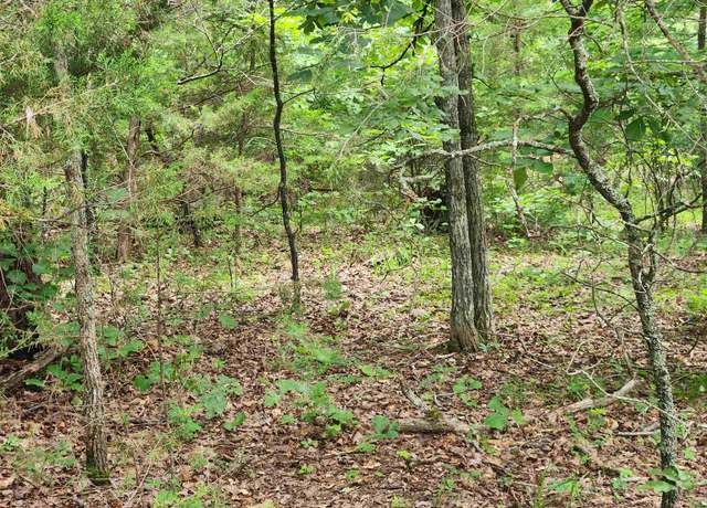 Property at L21b1 Coyotero Trce, Cherokee Village, AR 72529