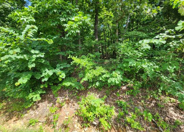 Property at L37b12 N Lakeshore Cir, Cherokee Village, AR 72529