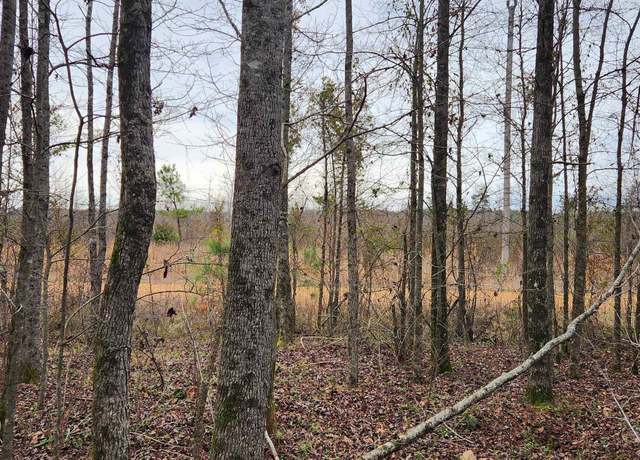 Property at 901 Green Hills Rd, Star City, AR 71667