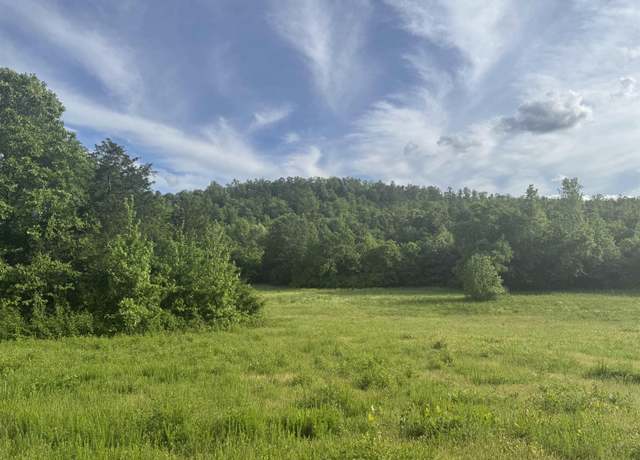Property at Tract 3 Jaymeson Rd, Oden, AR 71961