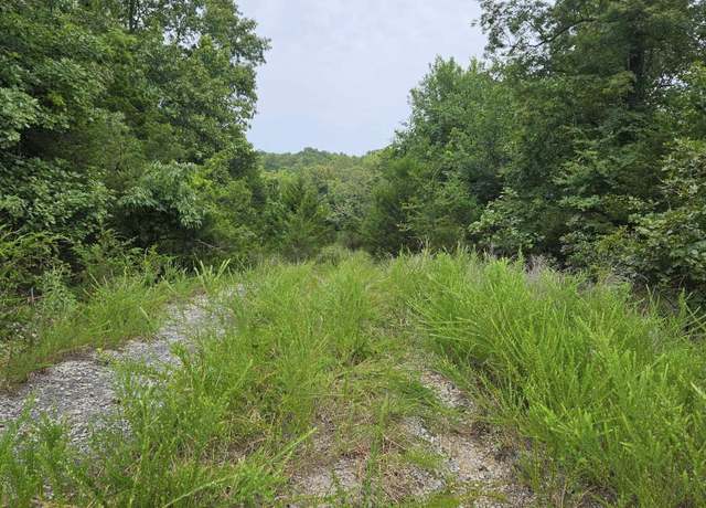 Property at 102 N Mother Lode Dr, Horseshoe Bend, AR 72512