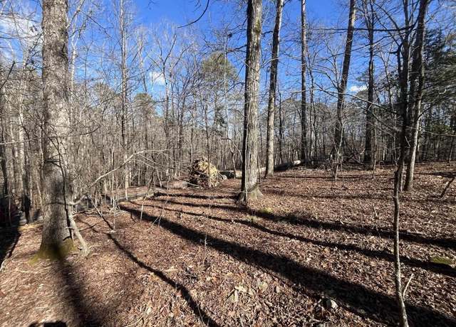 Property at 10 Block 1 Vestonero Lot 10, Hot Springs Village, AR 71909