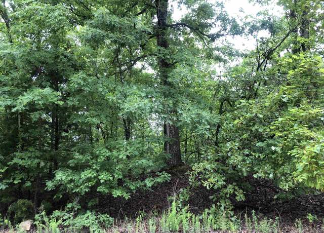 Property at Chesapeake, Cherokee Village, AR 72529