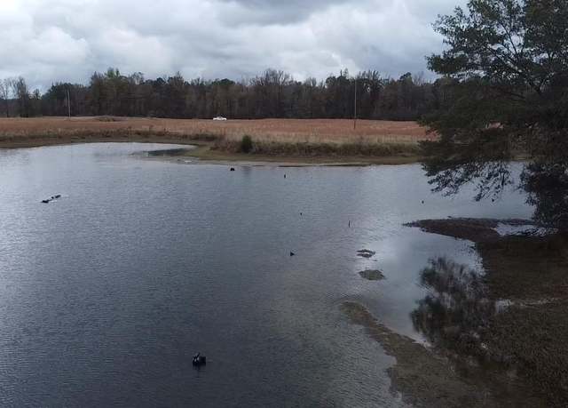 Property at 784 Grant 3515, Sheridan, AR 72150