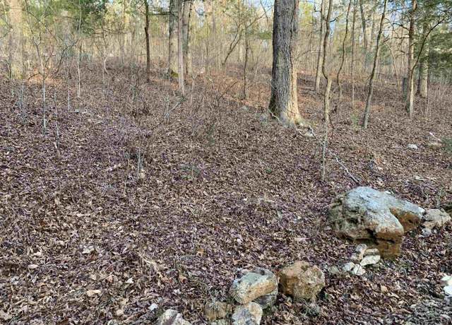 Property at 62 Mc 7031, Flippin, AR 72634