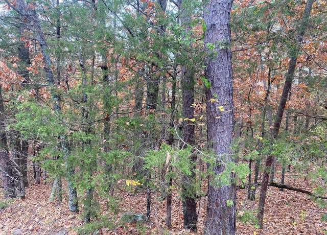 Property at 70 Cedar Valley Rd Lot 70, Fairfield Bay, AR 72088