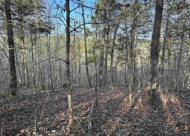 Property at 000 County Road 145, MO 65606