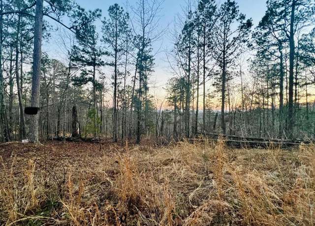 Property at Tract 6 Ramblewood Trl, Yellville, AR 72687