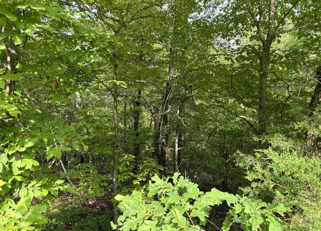 Property at 0 Longhorn Trl, Midway, AR 72651