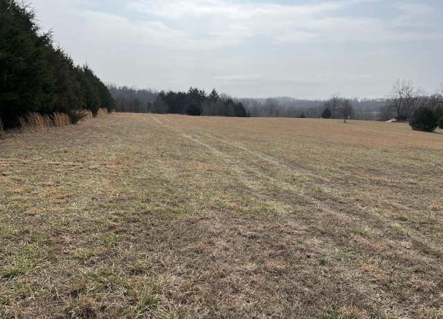 Property at 000 Weather Stone Rd, Mammoth Springs, AR 72554