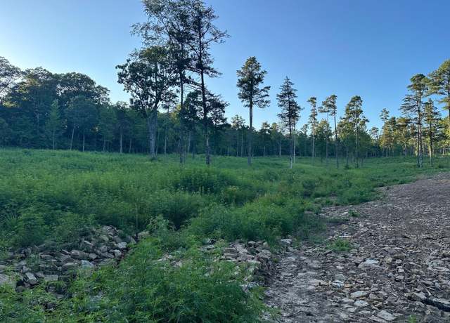 Property at 000 Private Road 4485 Rd, Ozone, AR 72854
