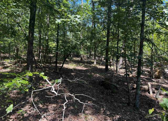 Property at 11 Mangana Ln, Hot Springs Village, AR 71909