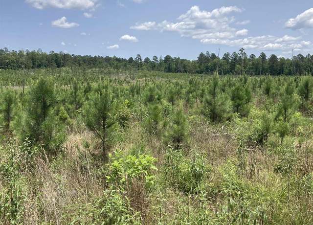 Property at 277 Newkirk Cir, Jessieville, AR 71949