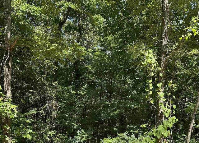 Property at 3.5 Acres Heber Springs Rd, Locust Grove, AR 72550