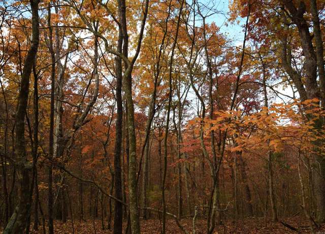 Property at 41 Mustang Dr Lot 41, Clinton, AR 72031