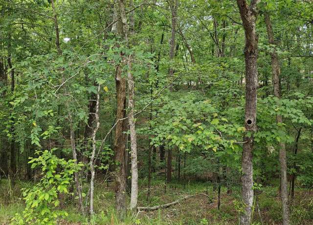 Property at 789 Plum Holw, Hot Springs, AR