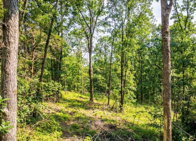 Property at 40 Acres Harmony Mountain Rd, Clinton, AR 72031
