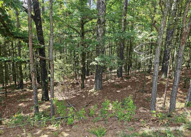 Property at 174 Castano Dr, Hot Springs Village, AR 71909