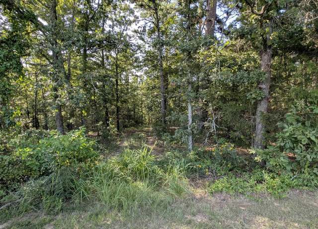 Property at 9 Block 2 Pine Bluff Ln Lot 9, Conway, AR 72034