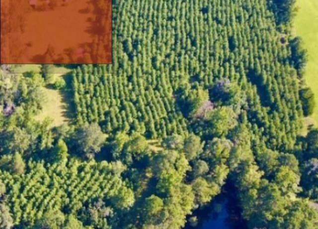 Property at Tbd Miller County 5, Doddridge, AR 71834