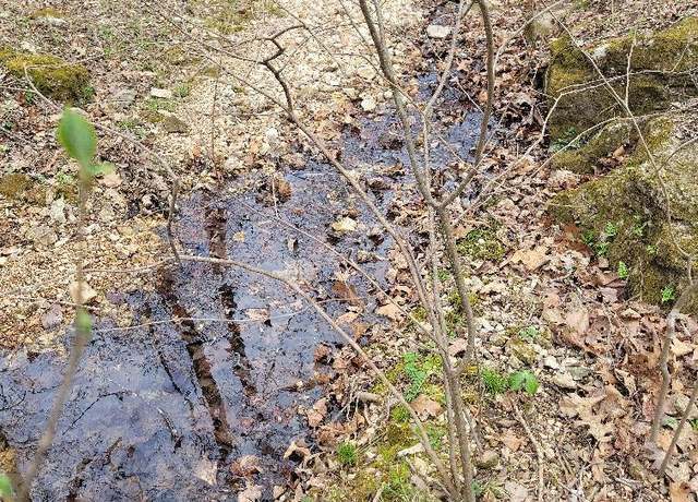 Property at 4411 Red Bluff Rd, Marshall, AR 72650