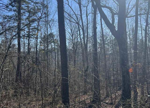 Property at 000 Peyton Creek Rd, Dennard, AR 72629