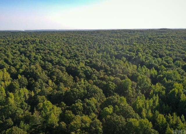 Property at Clay County Rd. 408, Rector, AR 72461