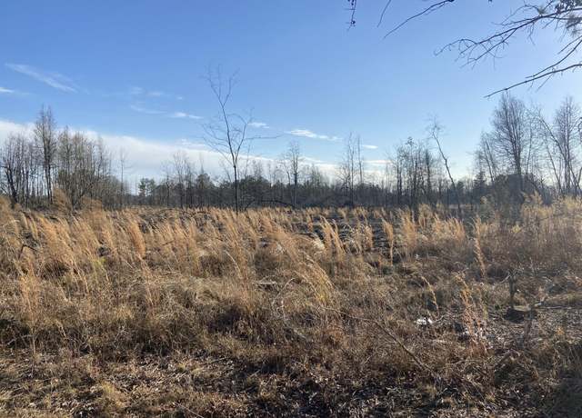 Property at Ozan C, Ozan, AR 71855