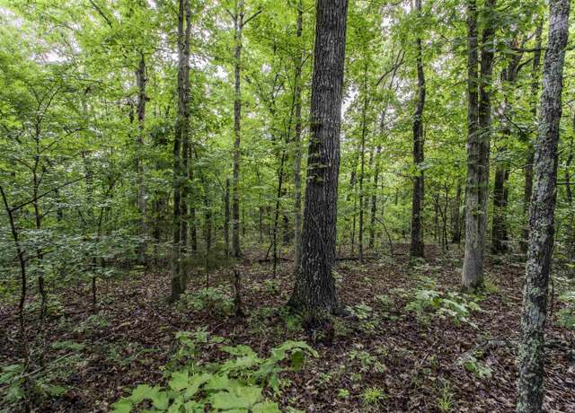 Property at 00 Red Fox Rd, Hardy, AR 72542