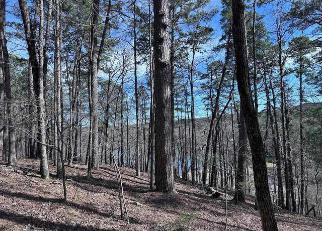 Property at 42 Badajoz Way, Hot Springs Village, AR 71909
