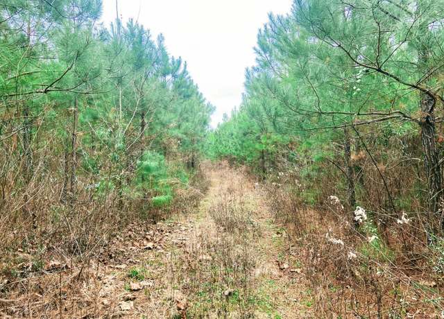 Property at Falcon North 27, Falcon, AR 71858