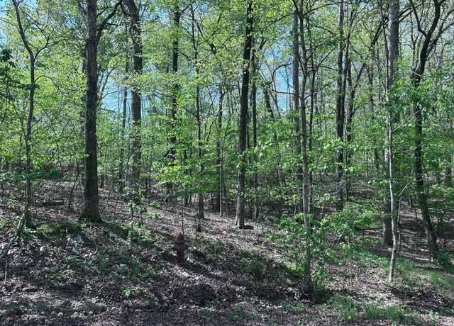 Property at 47 Rubi Cir, Hot Springs Village, AR 71909
