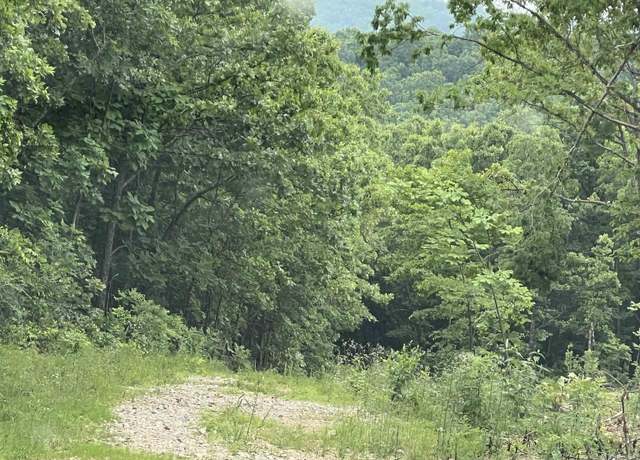 Property at 000 Private Road Off Walnut Grv, Mammoth Springs, AR 72554