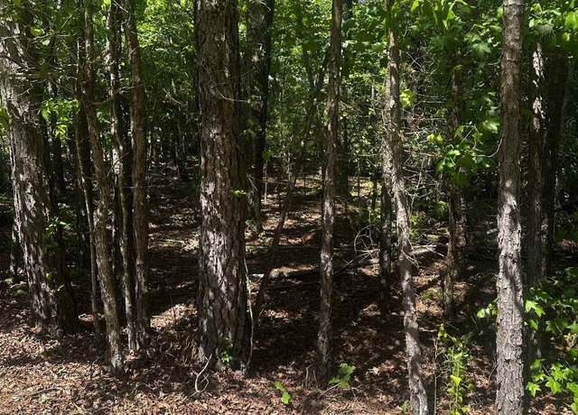 Property at 23 Andorra Cir, Hot Springs Village, AR 71909