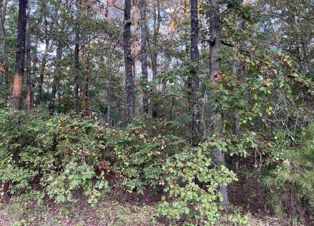 Property at 00 Sidney/flipper, Pine Bluff, AR 71602