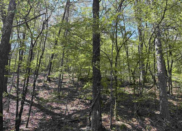 Property at Wafer Cir, Hot Springs, AR 71901