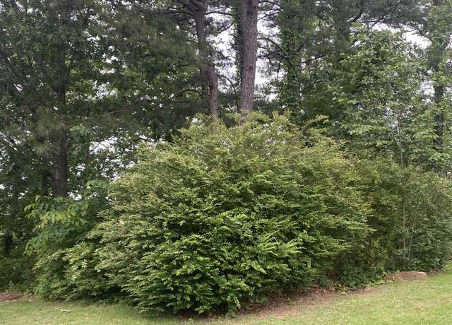 Property at 16 Cedar Branch Ct, Little Rock, AR 72223