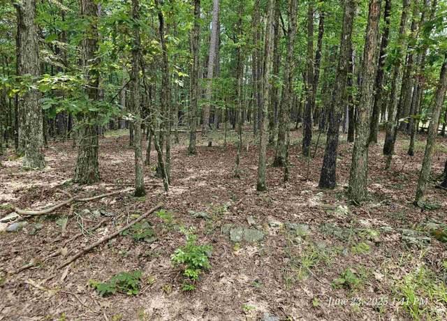Property at 46 Doscientos Way, Hot Springs Village, AR 71909